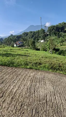 JUAL TANAH SHM CISARUA DEKET TAMAN SAFARI