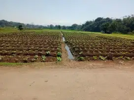 JUAL LAHAN PRODUKTIF KAB BANDUNG