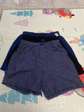 Boxer hust puppies baru size m L