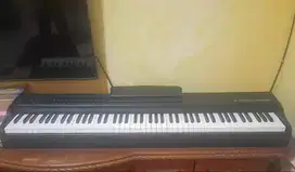 Wolfstrom TH - 1800 Piano Elektrik
