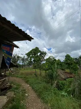 2.853 m NEGO !TANAH SUBUR STRATEGIS KAB. LEBAK RANGKAS BITUNG
