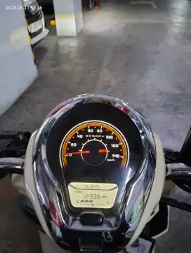 Scoopy fashion 2023