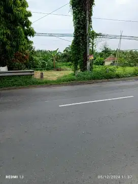 Jual murah tanah jalan Ry Cepiring Kendal 1880m² cuma 1,5jt/m²