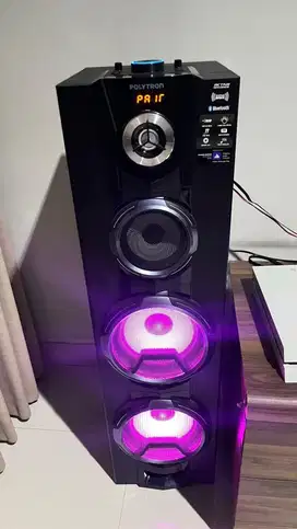 Speaker Sound Polytron