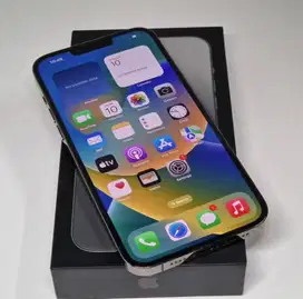 Iphone 13 Pro Max 512 Graphite Mulus 100 %
