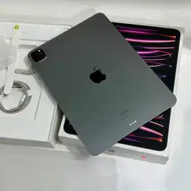 ipad pro m2 256GB wifi mulus
