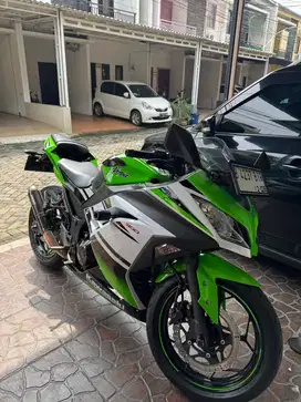Ninja 300 cc Special Low km