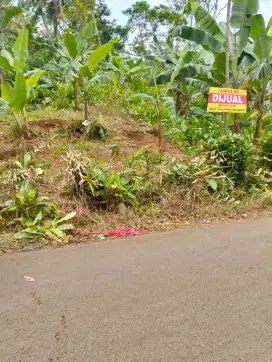 Tanah/kebun strategis murah