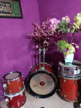 Drum custom Pearl