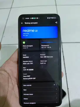 Realme 10 4+4 / 128GB
