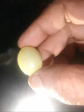 Batu akik lumut aceh