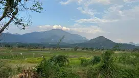 Tanah SHM Bisa Dibangun permanen bebas banjir nuansa alam golden view