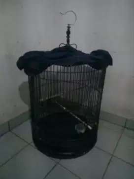 Jual cepat sangkar burung mural, 400rb