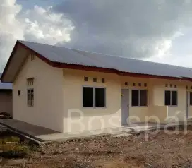 Lowongan Perkebunan Kelapa Sawit