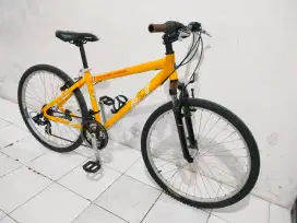 polygon bike to work aloy ban 26