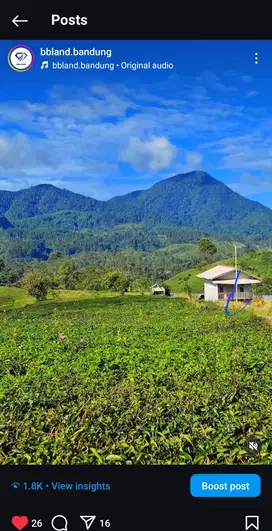 Jual Kebun Teh Bandung
