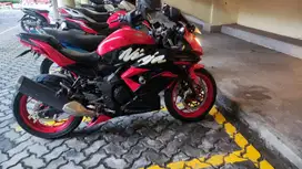 Ninja mono 2017