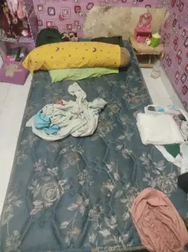 Kasur Springbed
