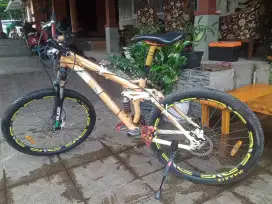 Sepeda gunung MTB united