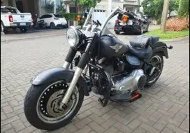 Harley Davidson Fat Boy Lo 2013 103 nci FP