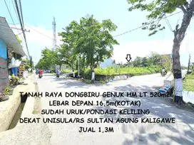Tanah HM Raya Dongbiru Genuk dekat RS Sultan Agung/UNISULA