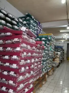 Jual cepat bahan Tr Taipan Tropical