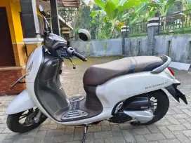 Scoopy Plat AB Kondisi baik