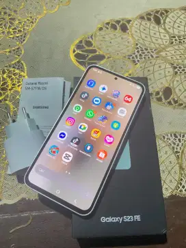 Samsung s23fe (flagship)