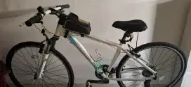 Polygon Hybrid XSF 10