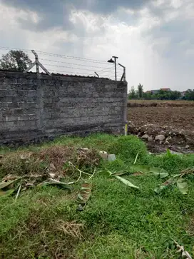Kavling Strategis sejuk area Dramaga Bogor, hanya 2jt-an. SHM Pecah