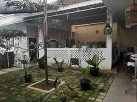 Jual rumah luas. Asri. Stretegis.nempel Taman Yasmin.