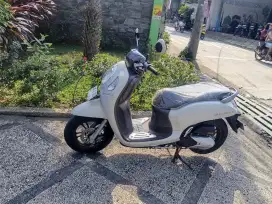 Honda Scoopy prestige thn 2024