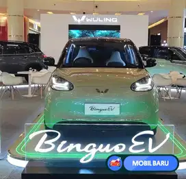 [Mobil Baru] Wuling Bingou ev 333Km ac/dc Baru