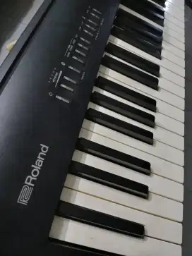 Roland fp30 digital piano