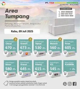 BATA RINGAN TUMPANG