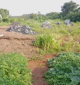 Dijual Cepat Tanah Industri Kawasan industr Bajamas Balaraja Tangerang