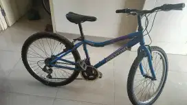 Sepeda MTB Polygon Cyclon 100 uk 24