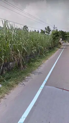 Jual Tanah Sawah mojoduwur bendo kec pare  ajir sekoto