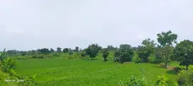 1,8 jt per m²! Tanah Poros Jalan Provinsi Pandaan