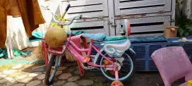 Sepeda anak masih bagus