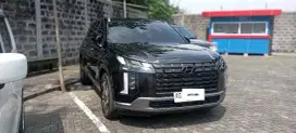 Hyundai palisade 2024