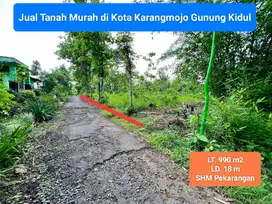 Jual Tanah murah pekarangan di kota karangmojo Gunung Kidul strategis