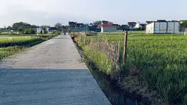 Dijual Tanah Pekarangan Luas di Sleman