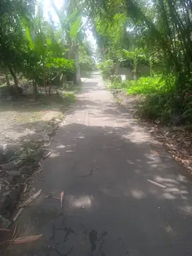 tanah koroulan jl cangkringan  kalasan