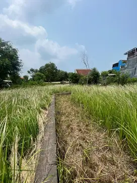 cocok di bngun villa pribadi atau rumah