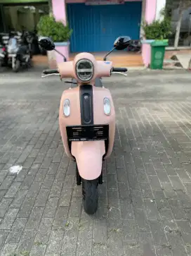 Fazzio 2025 Pajak Panjang