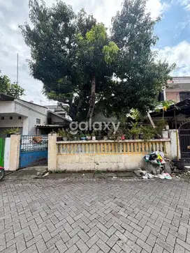 Rumah Kos Aktif di Daerah Ngagel