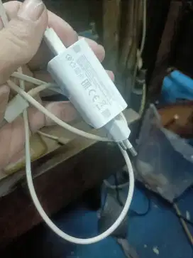 Charger Xiaomi original 22watt fast charging bgus