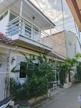 Jual Rumah Kos Siap Cuan Pulo Wonokromo Surabaya Jawa Timur
