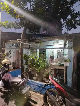 Jual Cepat Murah Rumah Strategis Bebas Banjir di Petek